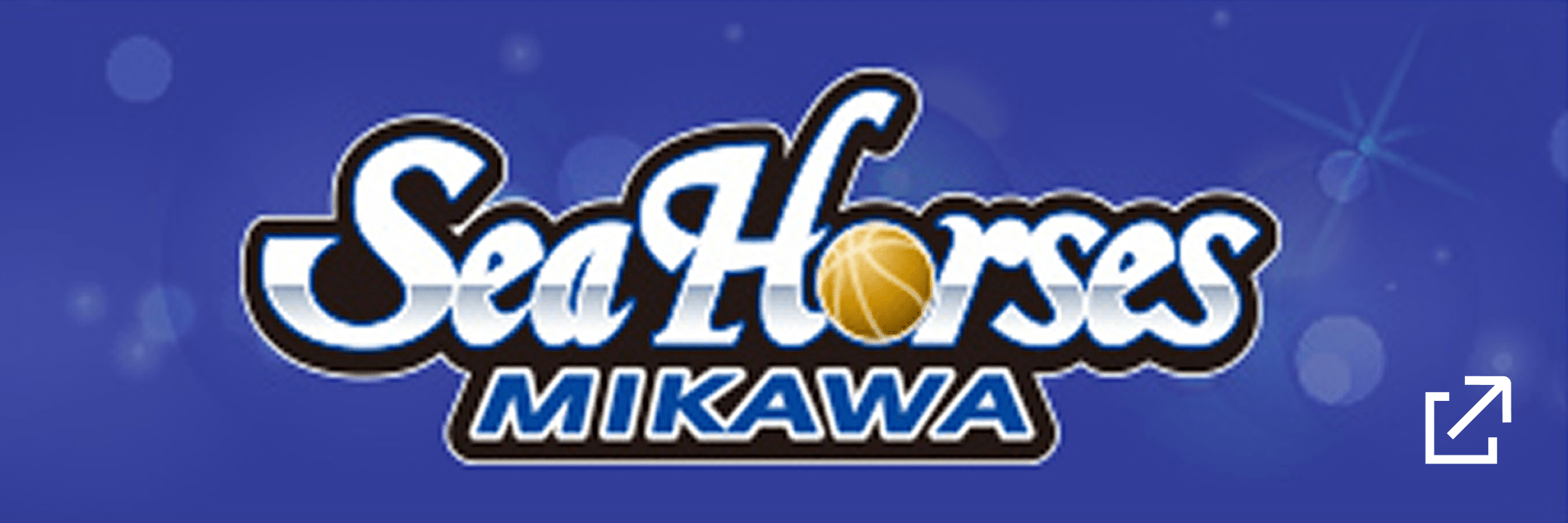 SeaHorses MIKAWA