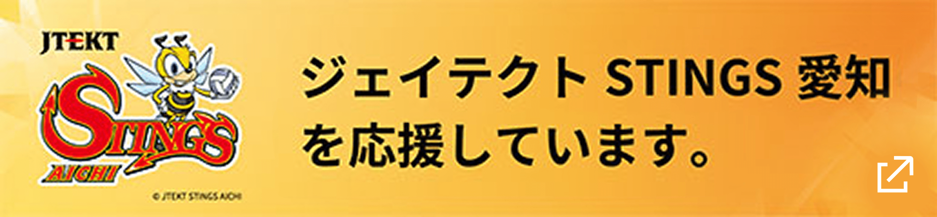 ジェイテクト STINGS 愛知を応援しています